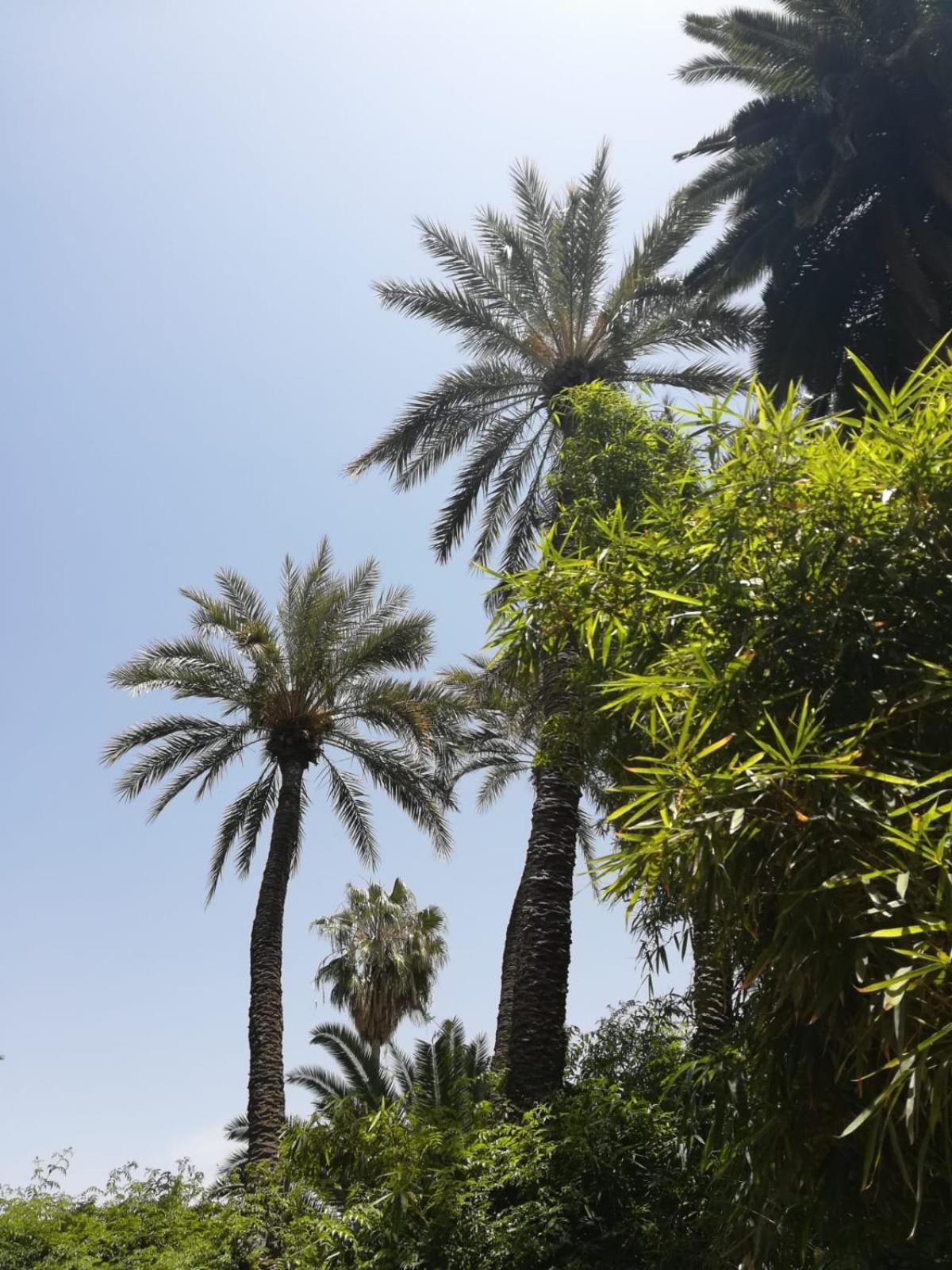 Riad Lalla Aicha-Qariya Siyahia Marrakech Marrakesch Exterior foto